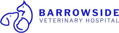 Veterinary Hospital Barrow Veterinary Hospital New Ross