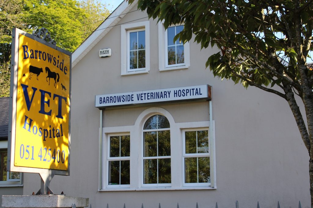 Veterinary Hospital Barrow Veterinary Hospital New Ross